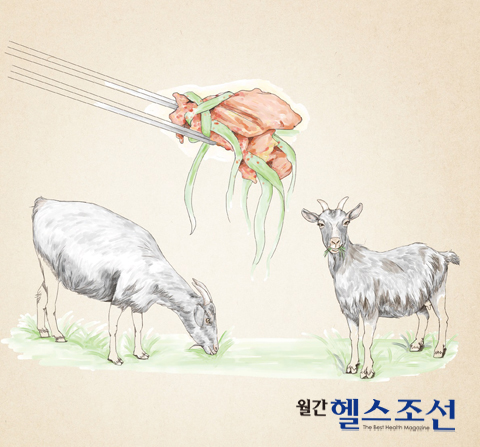 조선흑염소 이미지