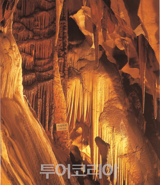 누리투어 이미지