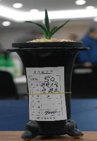 한국공판장 이미지
