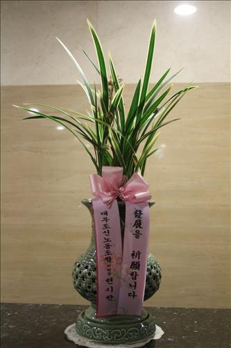 대우조선해양(주) 이미지
