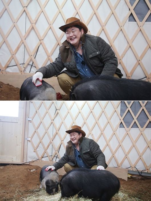 돼지두마리 이미지