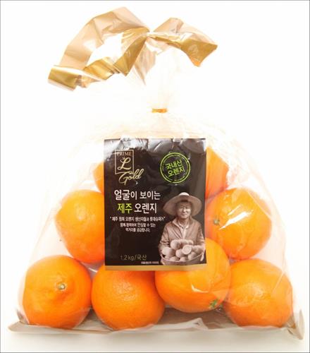 제주오렌지 이미지