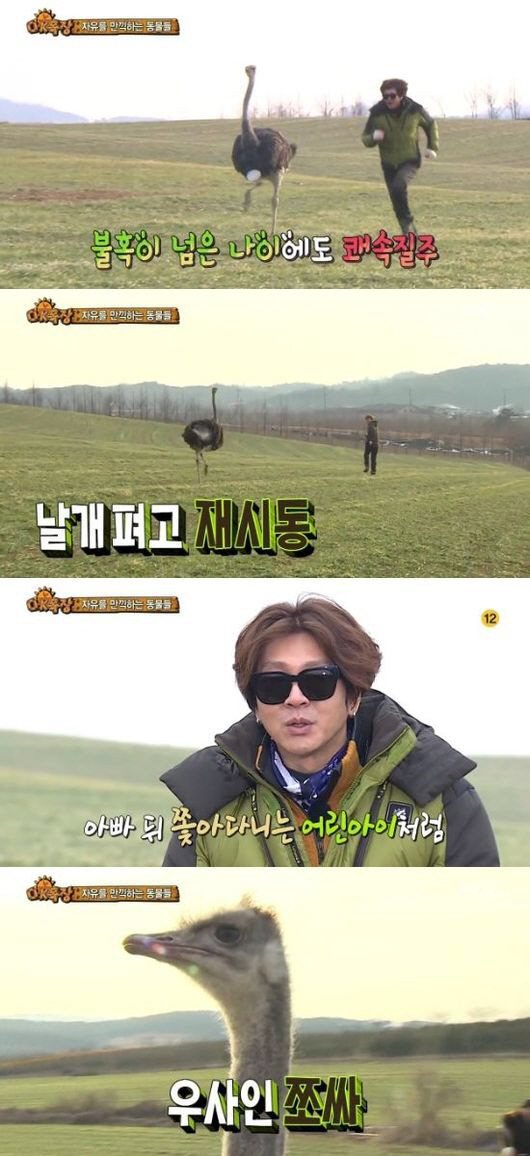 초원슈퍼 이미지