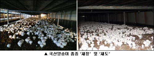 새아유통 이미지
