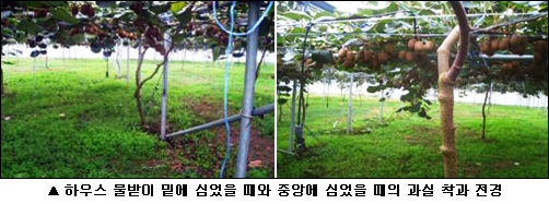 골드하우스 이미지