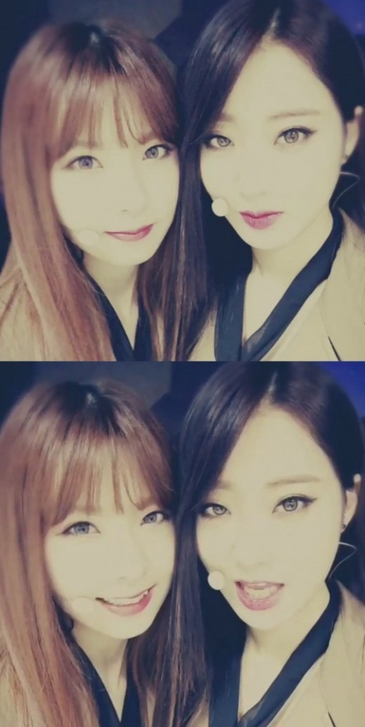 혜미 이미지