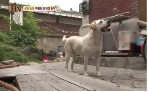 호야농장 이미지