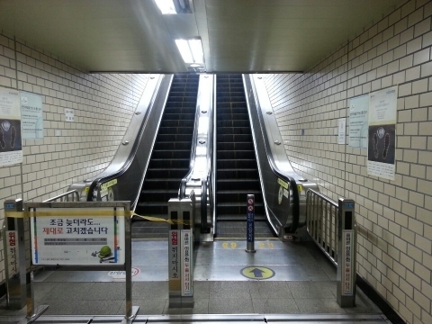 다섯발가락 이미지