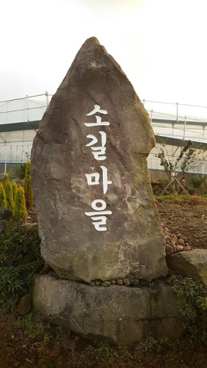 휘석지질 이미지
