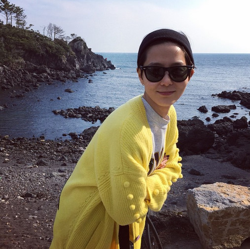 노랑병아리 이미지