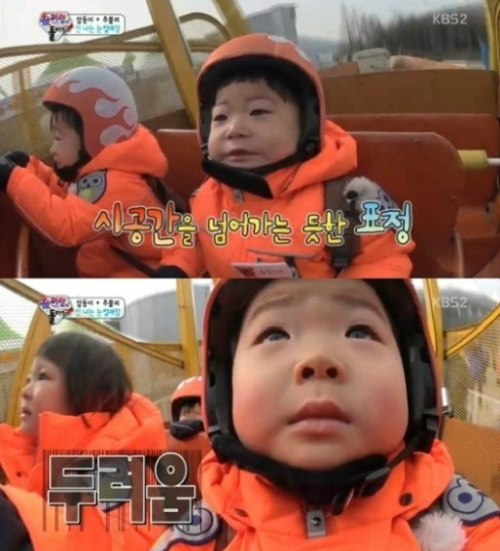 더바이킹 이미지