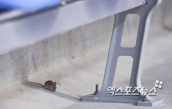 계양농업협동조합 이미지