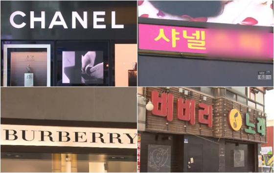 스타주점 이미지