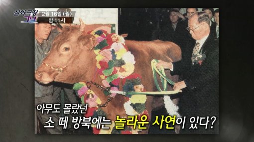 소떼 이미지