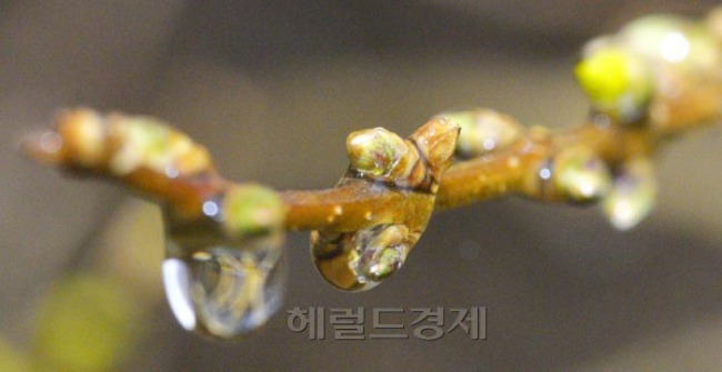 움트 이미지