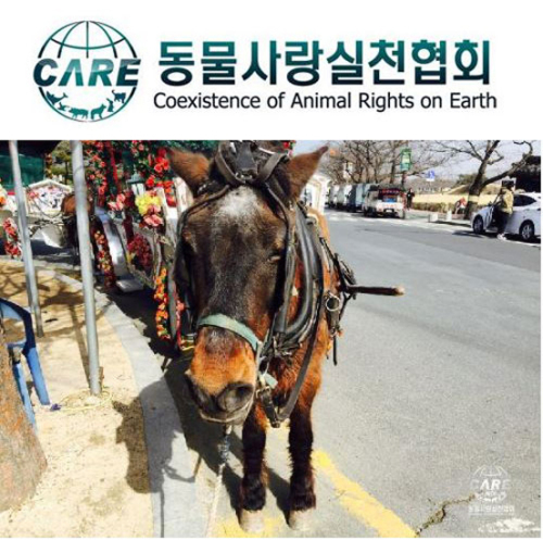 꽃마차 이미지