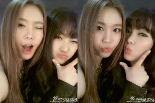 세진 이미지