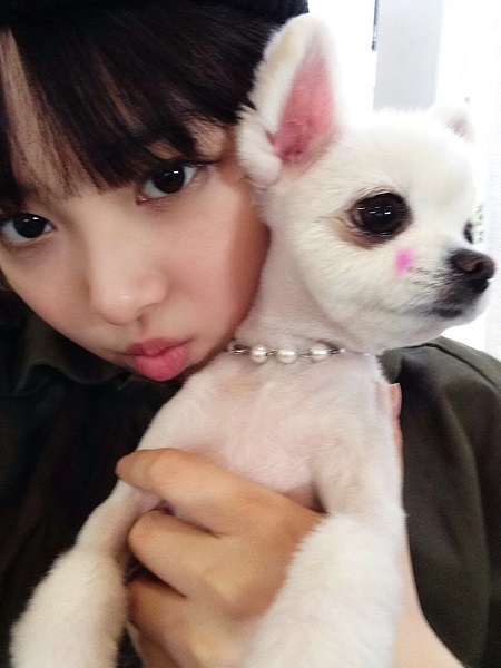 소나무하우스 이미지