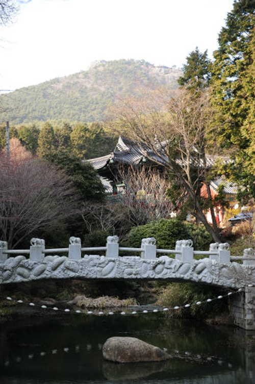 편백림 이미지