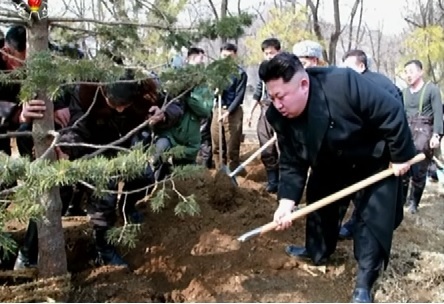 산에나무 이미지