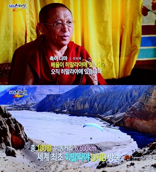 베율 이미지