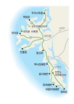 해안선 이미지