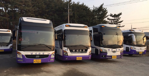 영신관광여행사 이미지