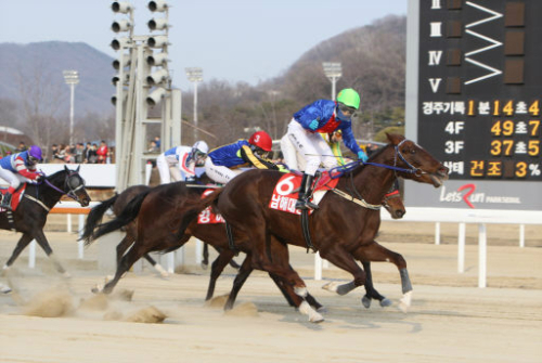 마주 이미지