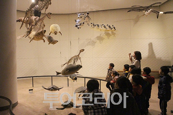 살랑 이미지