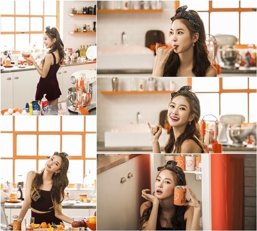 와이피 뮤직 엔터테이먼트 이미지