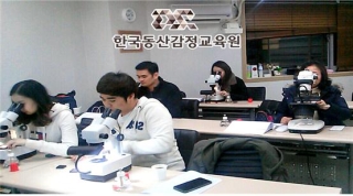 동산유통 이미지
