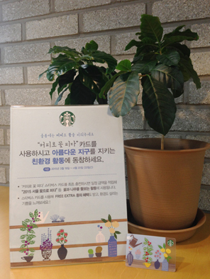 꽃;피다 이미지