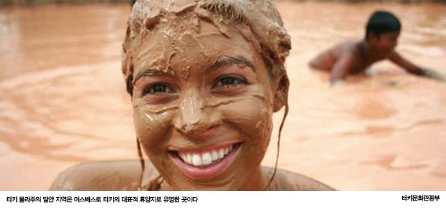시크릿뷰티 이미지
