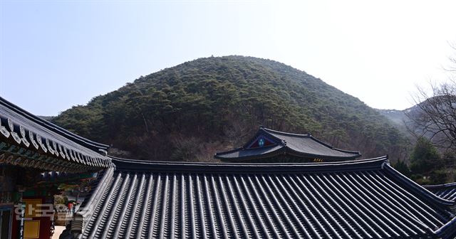 고운사우화루 이미지