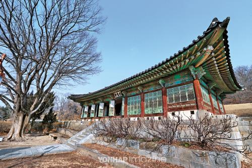 새봄여행 이미지