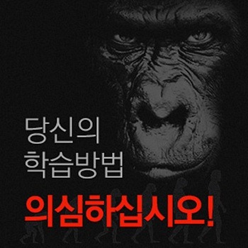 트리즈 이미지
