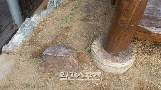 그린존 코리아 이미지