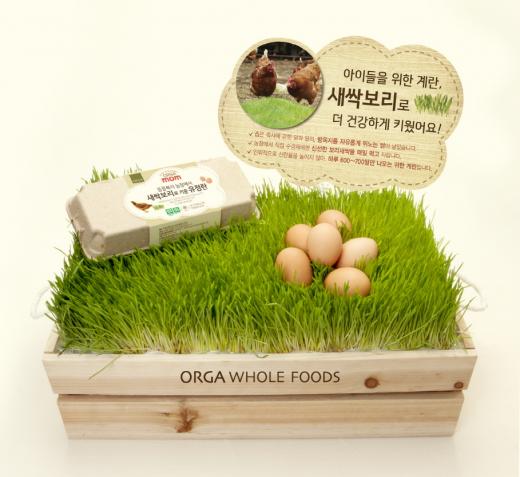 보리맘 이미지