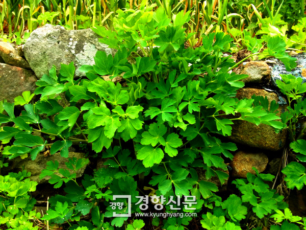 여수특산품명품화사업단 이미지