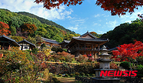 영주 이미지