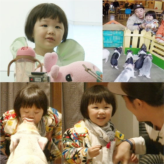 돼지홀릭 이미지