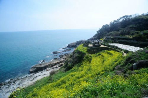 바닷바람 이미지
