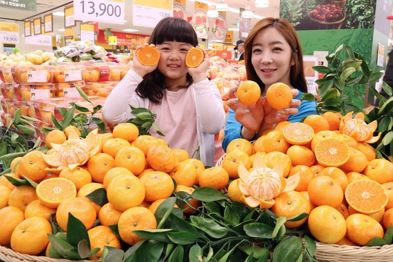 돌빌레 이미지