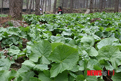 풍산마을영농조합 이미지