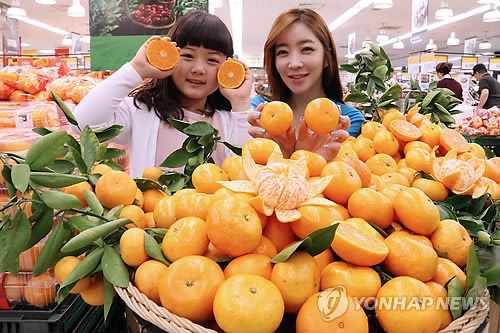 돌빌레 이미지