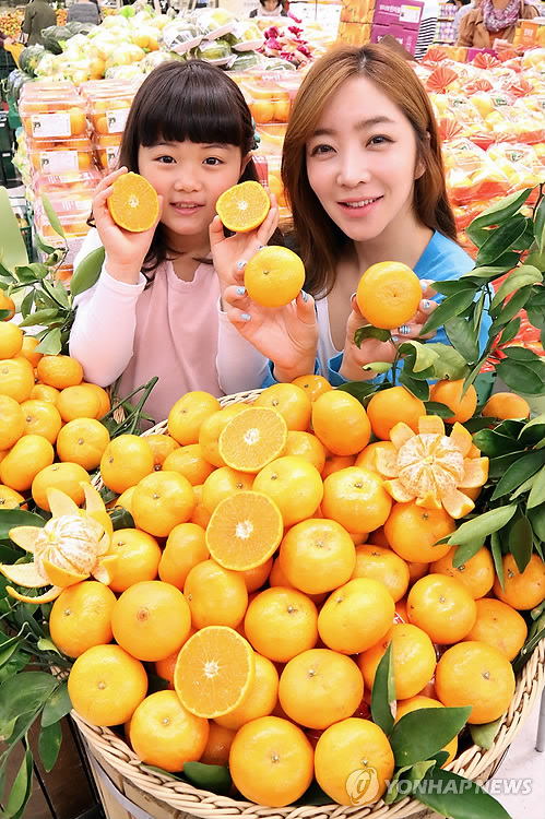 돌빌레 이미지