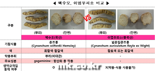 한국내츄럴케어 이미지