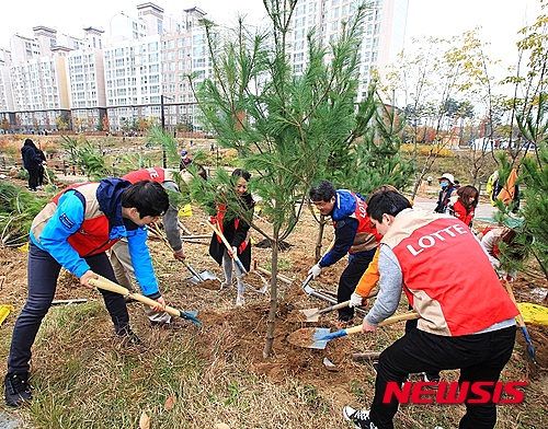 드림마트24 이미지