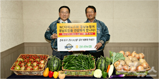 다이노스스포츠 이미지