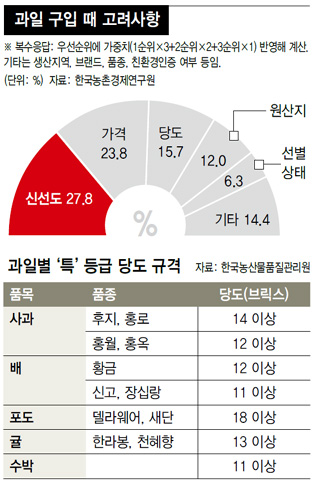 때깔 이미지